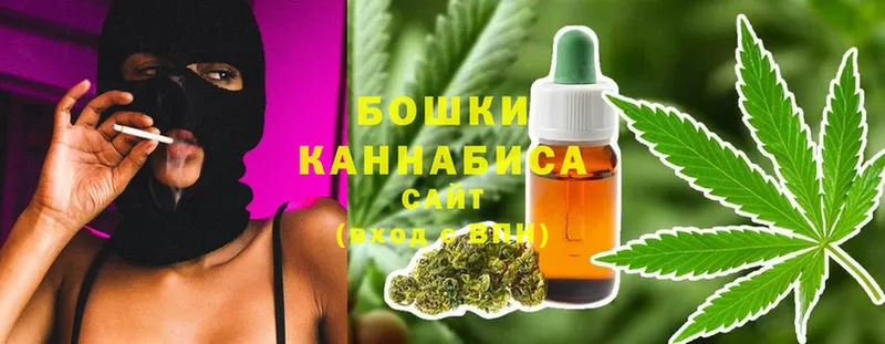 где продают   Камешково  Бошки марихуана планчик 